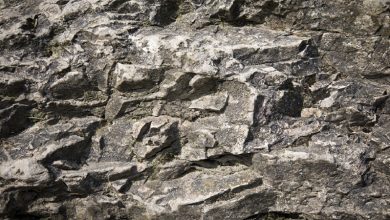 العلماء يكشفون النقاب عن صخور غامضة يزعمون أنها أقدم دليل على الحياة على الأرض