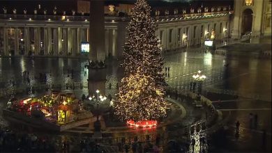 مغارة وشجرة الميلاد في ساحة القديس بطرس بالفاتيكان.